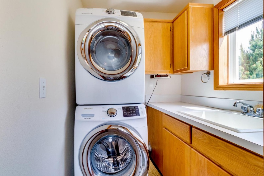 Beach Whale Main image